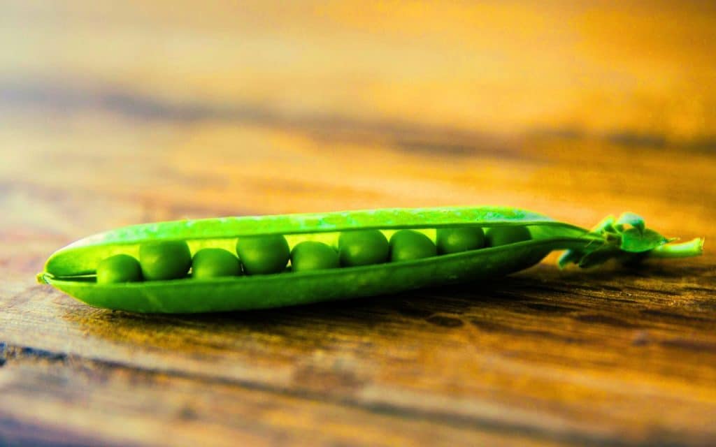 Le saviez-vous cette petite bille verte est un légumineux