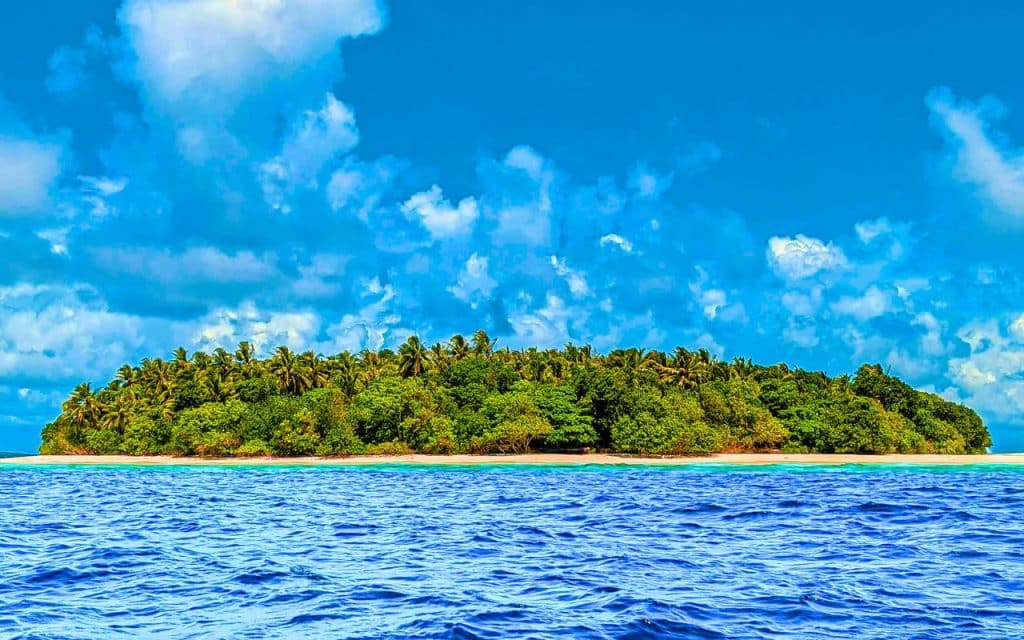 Un homme achète une île elle devient un sanctuaire pour la faune et la flore